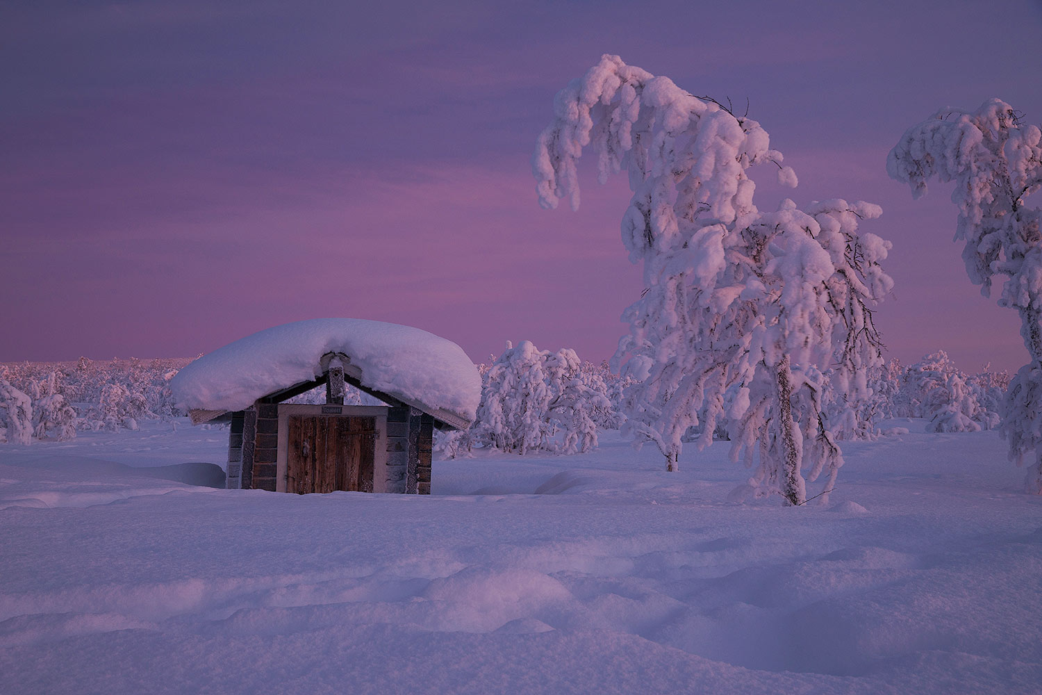 cabane laponie