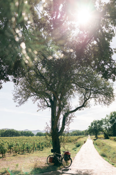 Vignes du Var