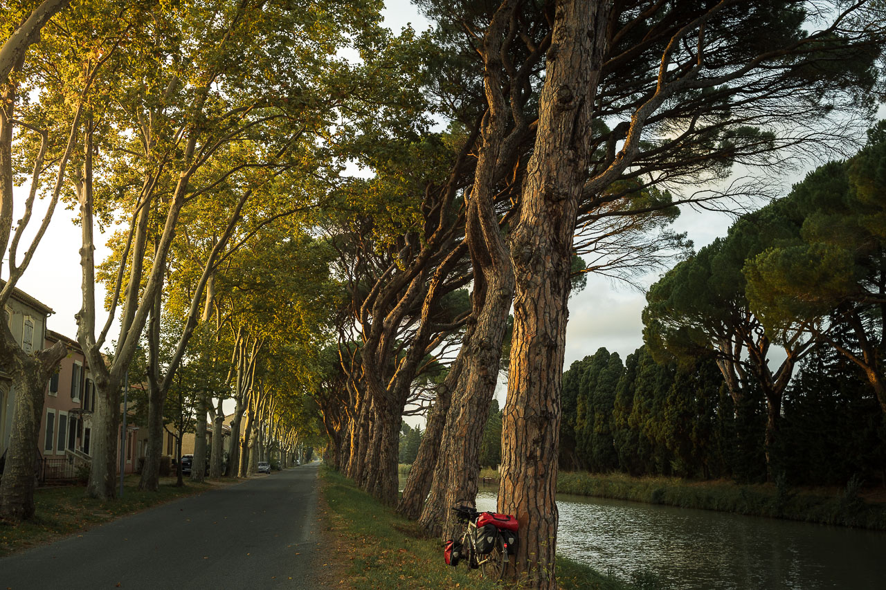 Fin de journée à Sallèles d'Aude.