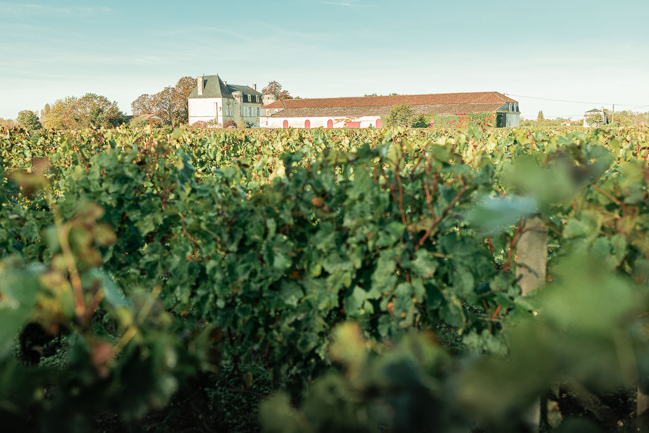 Vignoble bordelais