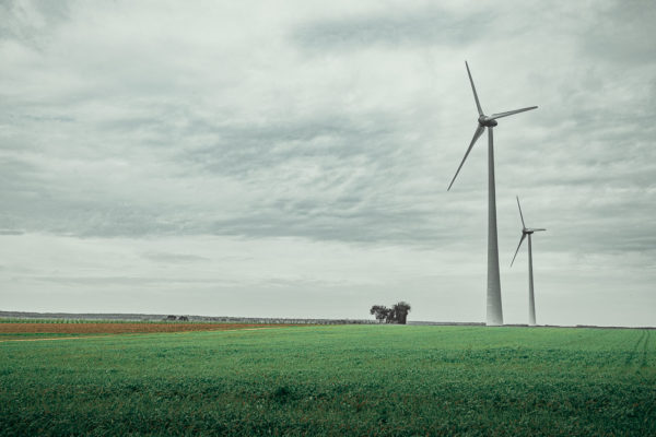 Éoliennes dans la Vienne