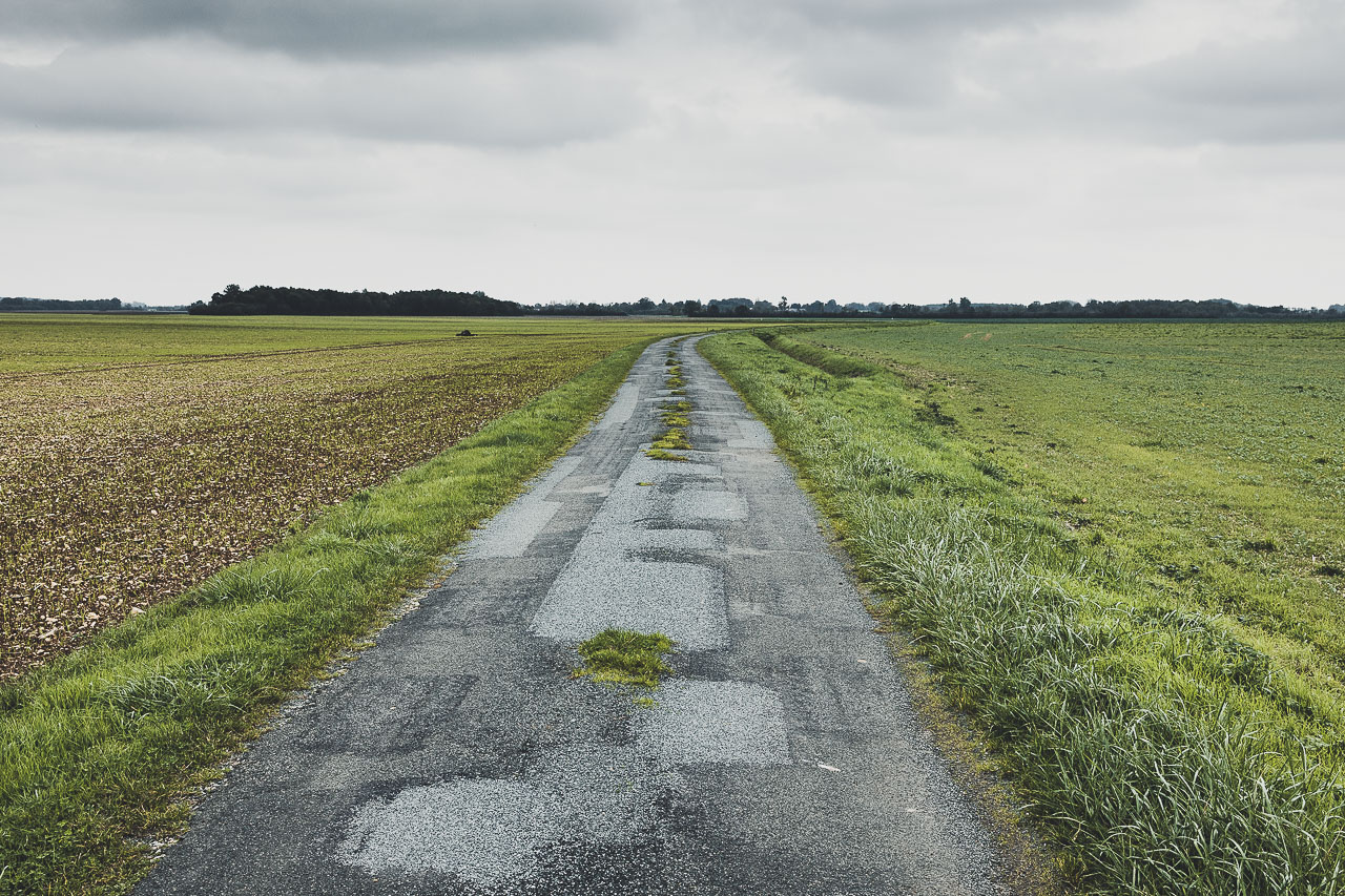 Route entre les champs